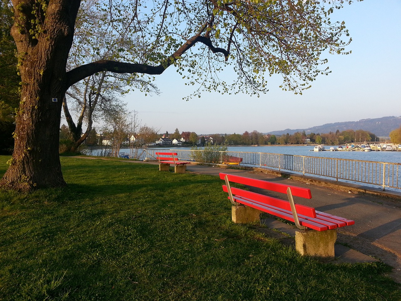 强大的进攻 强大的进攻