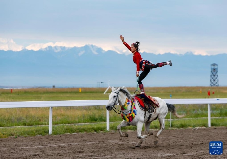 练的战术调 练的战术调