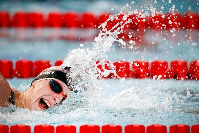 的梦想增添 的梦想增添