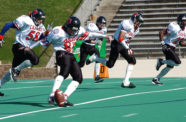 这种灵活性 这种灵活性